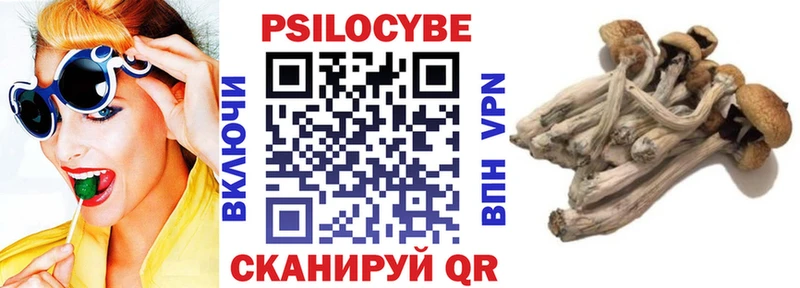 Галлюциногенные грибы Psilocybine cubensis  купить   Семилуки 
